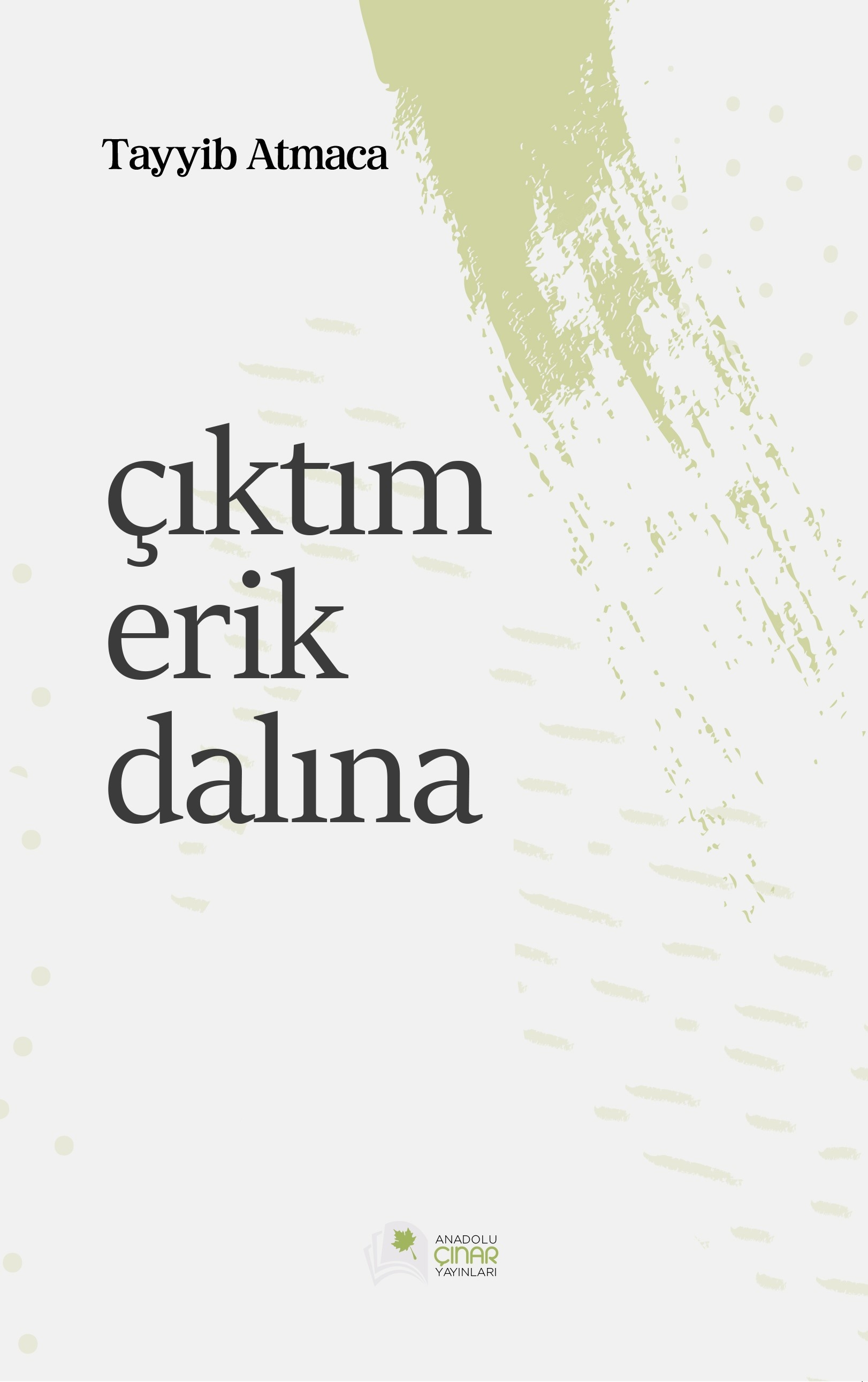 Çıktım%20Erik%20Dalına%20-%20Tayyip%20Atmaca